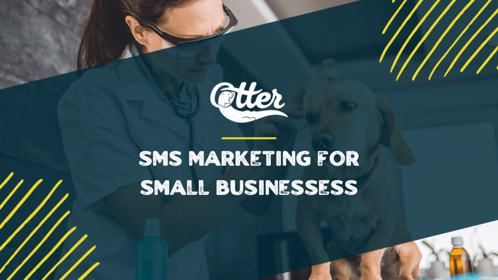 Everything You Need to Know About SMS Marketing for Small Businesses